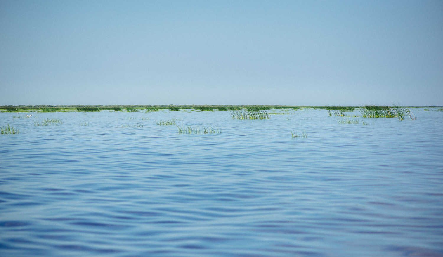 Белый песок озеро Ильмень